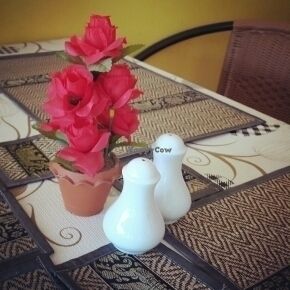 D.D Samui Vegan Restaurant at D.D Samui Vegan Restaurant in Koh Samui