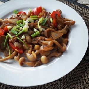 Fried mushrooms! So tasty at D.D Samui Vegan Restaurant in Koh Samui