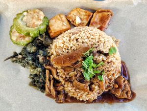 Duck rice with extra bitter gourd Yong Tau Foo, good, recommended at Healthy Vegetarian 健康素食 - Whampoa in Central Singapore