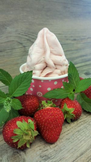 Erdbeer- EiZ mit Pfefferminz at Time Out Eiscafe in Basel