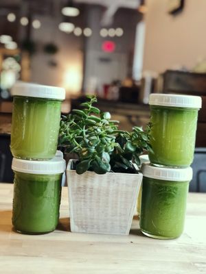 Green Juice at Organic Buzz Cafe & Juice Bar in Norfolk