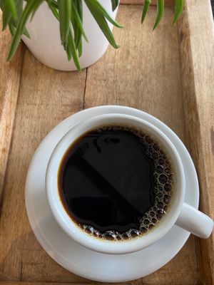 Organic Coffee at Organic Buzz Cafe & Juice Bar in Norfolk