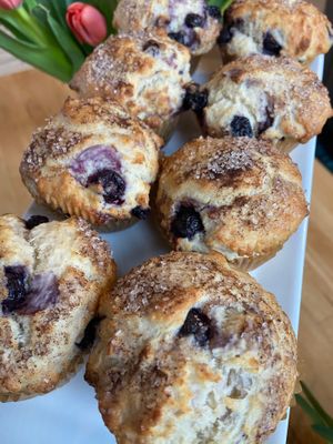 Blueberry Muffins at Organic Buzz Cafe & Juice Bar in Norfolk