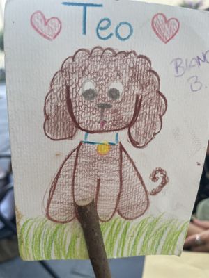   at In Pasta in Lucca