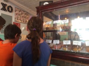 Doughnut case at Dun-Well Doughnuts in New York City