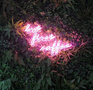 the wifi password, but first coffee   at Blanche Bakery in Cardiff