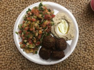 Falafel plate at Sunrise Pita and Grill in Sunrise