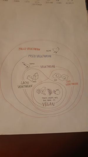 Good understanding of veganism and vegetarianism at Slunch Factory - 슬런치 팩토리 in Seoul