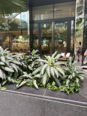 Storefront!  at Real Food 真食 - South Beach in Central Singapore