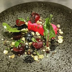 Beetrrot starter at GAF in Oxford