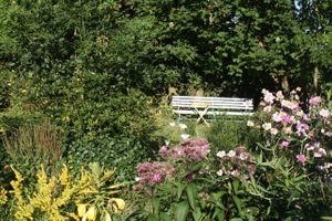 Our garden  at Elfengaststube in Viezen