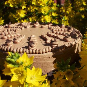 And fairy chocolate buttercream cake  at Elfengaststube in Viezen