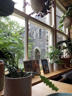 super view, green inside and out at Tofurei in Norwich