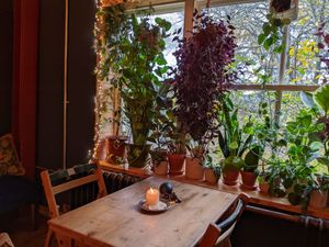 Upstairs seating at Tofurei in Norwich