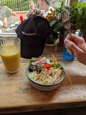  at Tofurei in Norwich