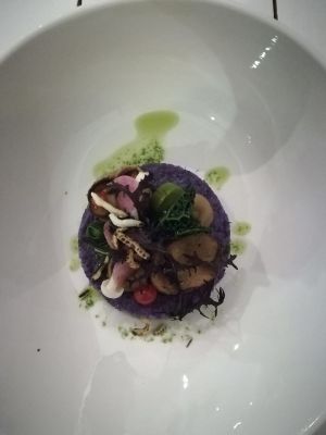 First course (5-course menu, Feb 2019) at Bij Albrecht in Eindhoven