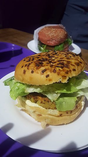 Hamburguer at Novos Veganos - Rua Icobe in Sao Paulo