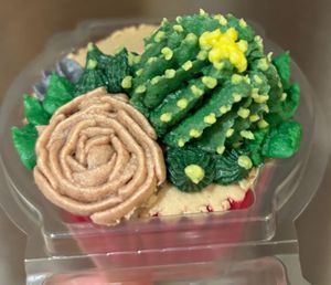 Takeaway edible cacti garden😉 at Missy's Vegan Cupcakes in Edinburgh