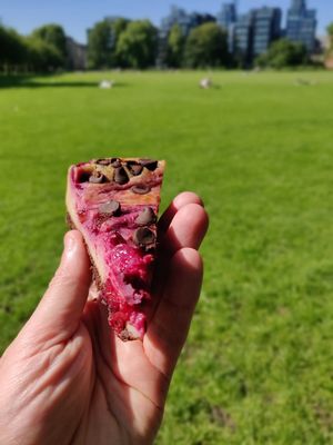 Yum at Missy's Vegan Cupcakes in Edinburgh