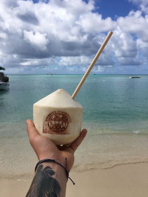 Coconuts 😎 at Eduardo's Beach Shack in Palm Beach