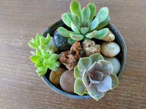 Decoration at Origi BKK in Bangkok