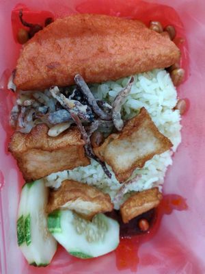 Nasi lemak without egg and request to change mock fish at SHU Vegetarian 蔬方斋 - Jln Kayu in Northeast Singapore