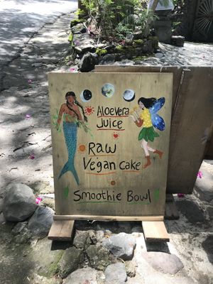 Fresh aloe vera at Aiona in Abang