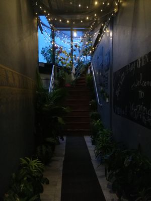 Planted stairs at Govinda's Restaurant in Krabi