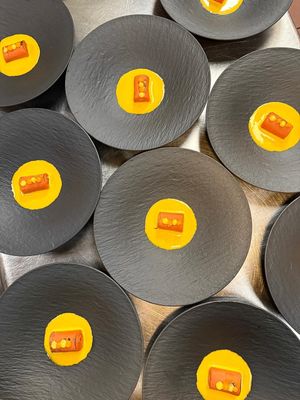 Platinum Plate Fine Dining Dinners. at Cafe YOU in Cape Coral