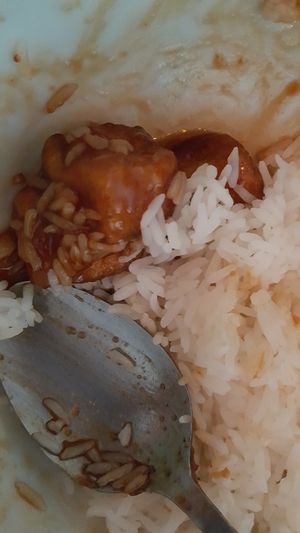 General Tso tofu  at Panda Chinese Restaurant in New Port Richey