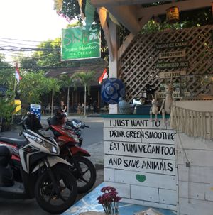 shiboo  at ShiBoo Organic Superfood Cafe in Kerobokan Kelod