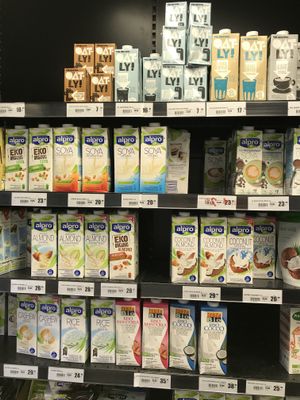 Long life dairy alternatives  at HelaVegan in Gothenburg