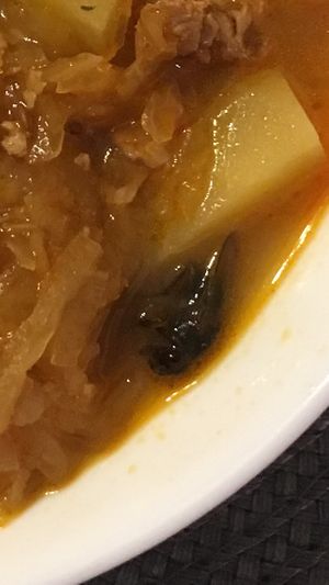 Close up to an unwelcomed extras  at Vital Hotel Novina in Krystofovo Udoli