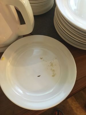 Dirty plates by the buffet  at Vital Hotel Novina in Krystofovo Udoli