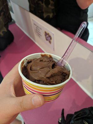 Vegan chocolate sorbet at Willy Wallers Ice Cream Factory in St Ives