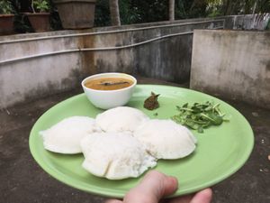 Idli  at Veganza Cafe in Auroville