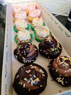 Vegan cupcake gift at Cupcake Central in Maribyrnong