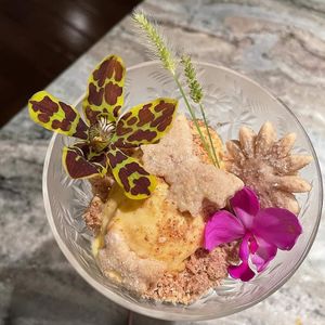 Dessert at Pirate Palms Plant-Centered Retreats in Naples