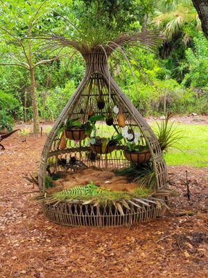 New addition in the Captiva terrace. Orchid Sanctuary.  Rescuing orchids! at Pirate Palms Plant-Centered Retreats in Naples