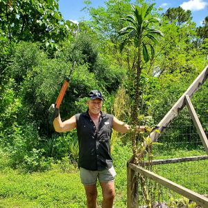 Edible Forest at Pirate Palms Plant-Centered Retreats in Naples