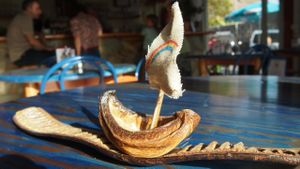 Art at Noah's Ark in La Gomera