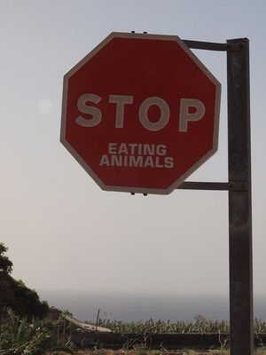 Sign outside the bus station (estacion de guaguas) in Valle Gran Rey. at Noah's Ark in La Gomera