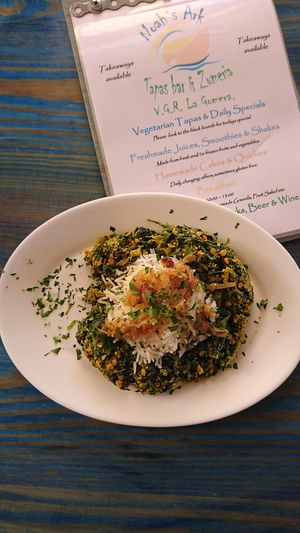 Saag at Noah's Ark in La Gomera