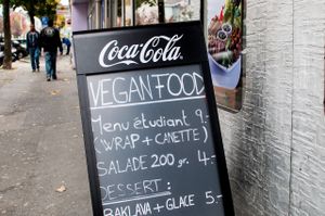 Credit: VeggieRomandie.ch - L. Imperato at Istanbul Cigkofte in Lausanne