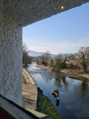  at Plant by Kat's Kitchen in Keswick