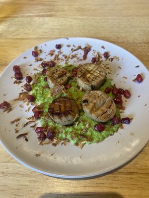   at The Allotment in Manchester