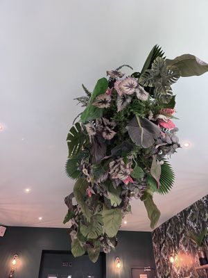 In the allotment   at The Allotment in Manchester