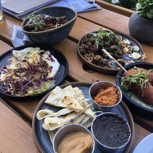   at The Allotment in Manchester