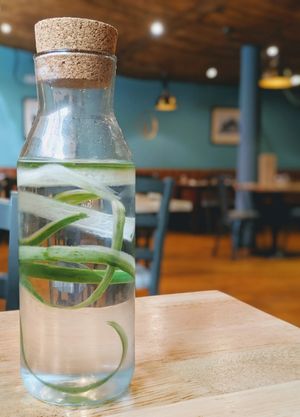 Even the tap water is delicious! at The Allotment in Manchester