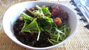 Lunch bowl at Joy Healthyfood in Montpellier